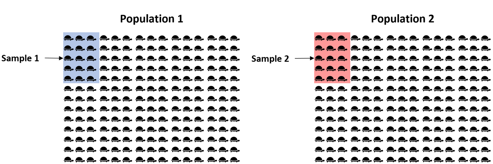 Two sample t-test example